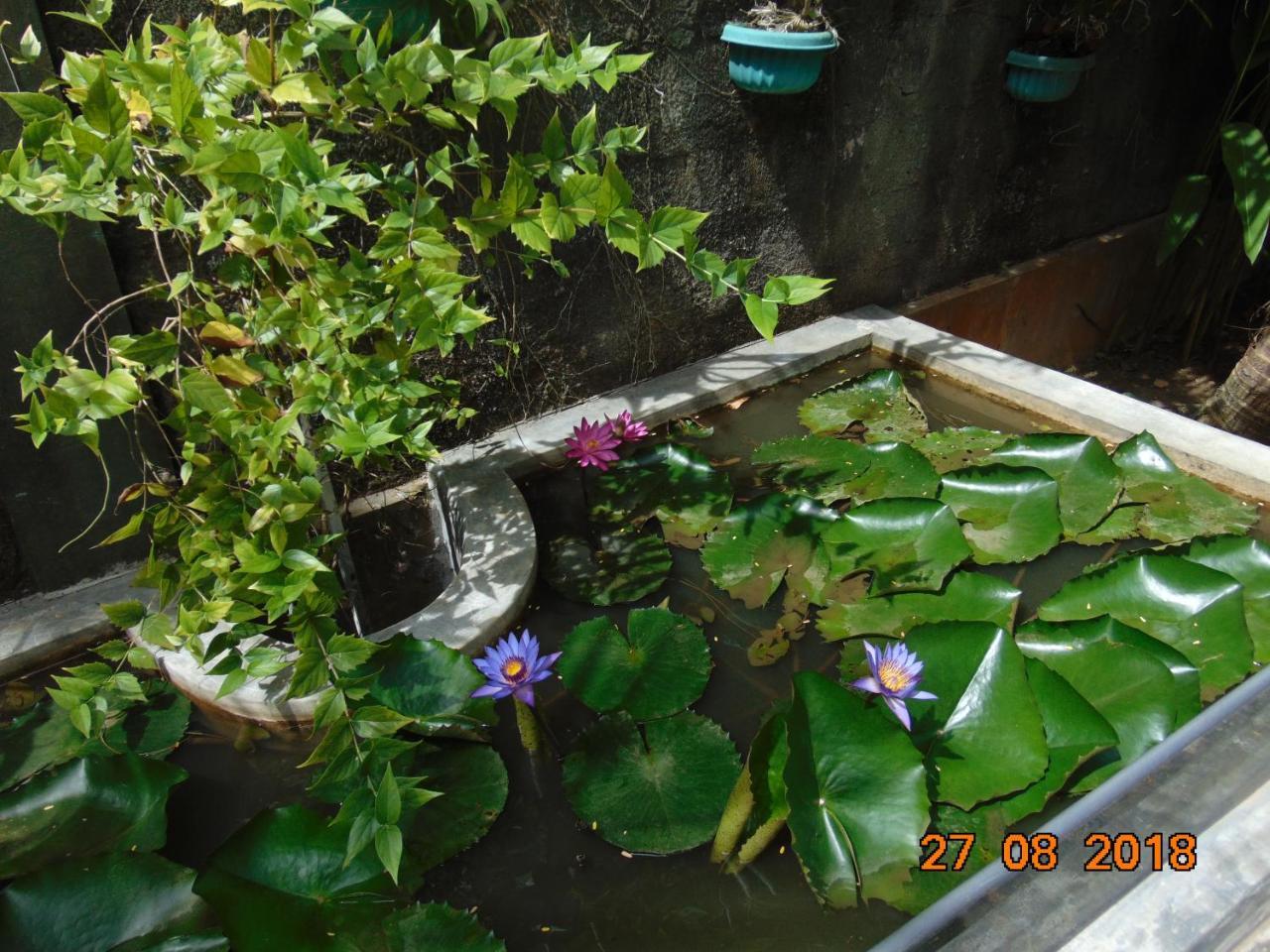 Sri Lankan Villa Elagawagoda ภายนอก รูปภาพ