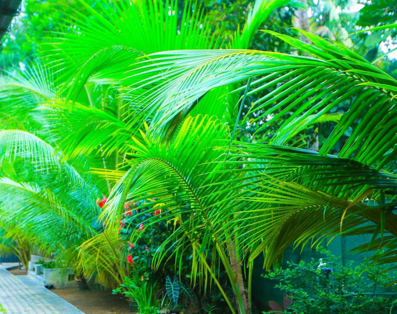 Sri Lankan Villa Elagawagoda ภายนอก รูปภาพ